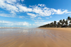 Caminho à beira mar