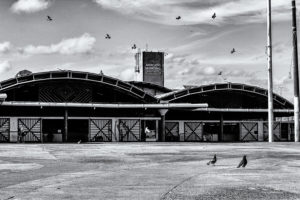 Cenas do mercado VIII